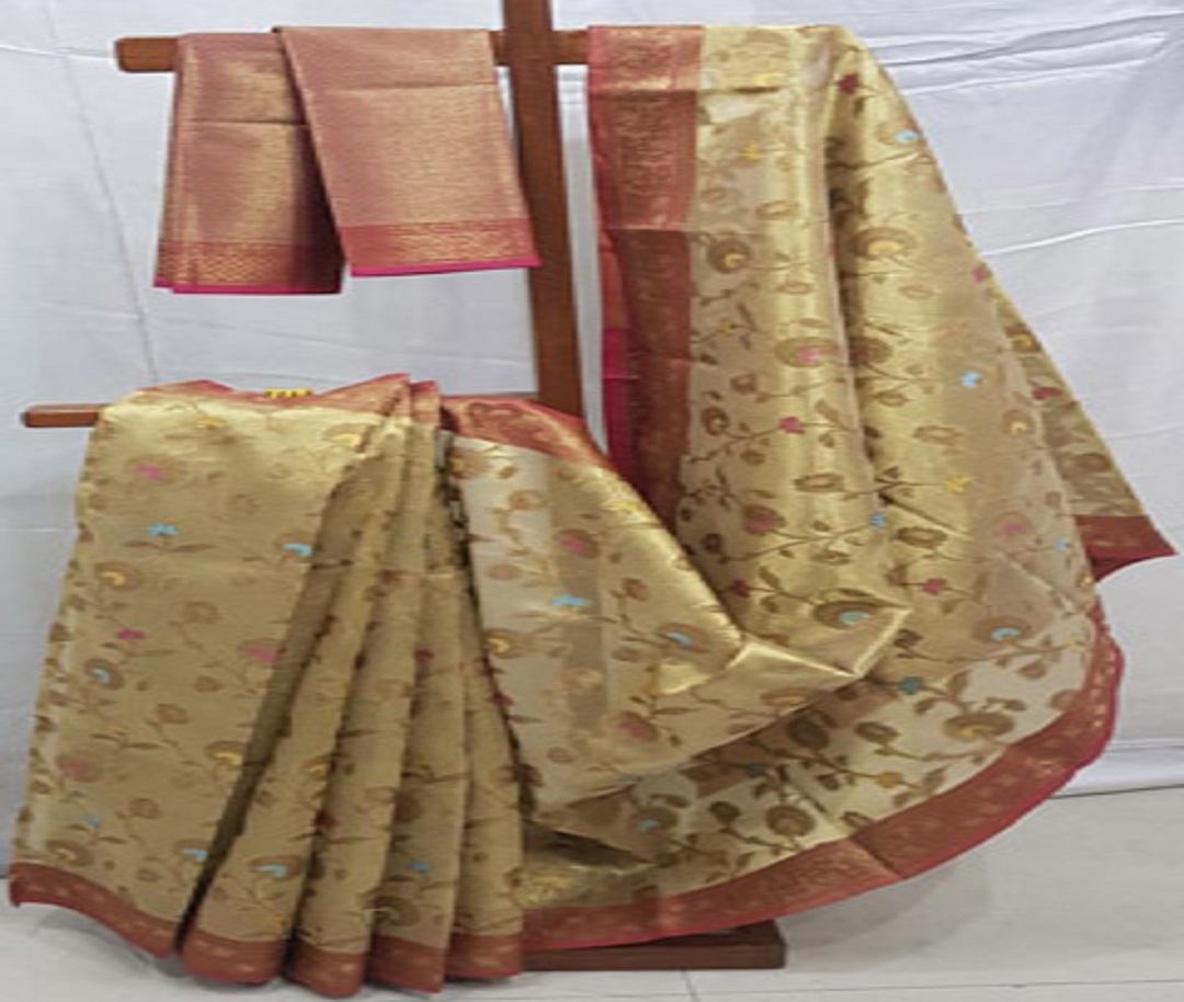 Meenal's Indian Fashions